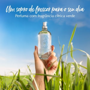 Deo Colônia Capim-Limão 100ml - L'OCCITANE